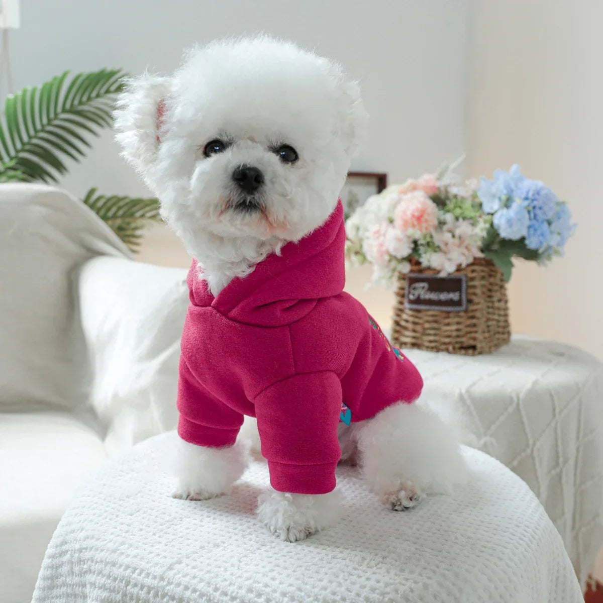 Christmas Hooded Dog Sweater